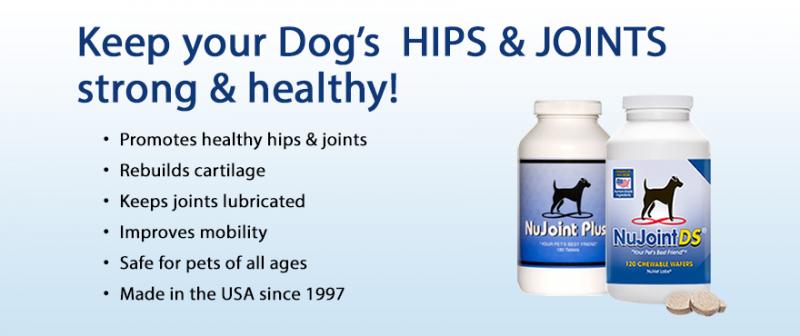 nuvet labs dogs cats vitamins supplements veterinarian recommended