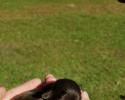 Female, liver Schnauzer newborn